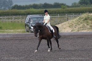 ISIS Dressage Challenge 2008